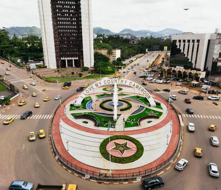 Cameroon a business hub in Africa